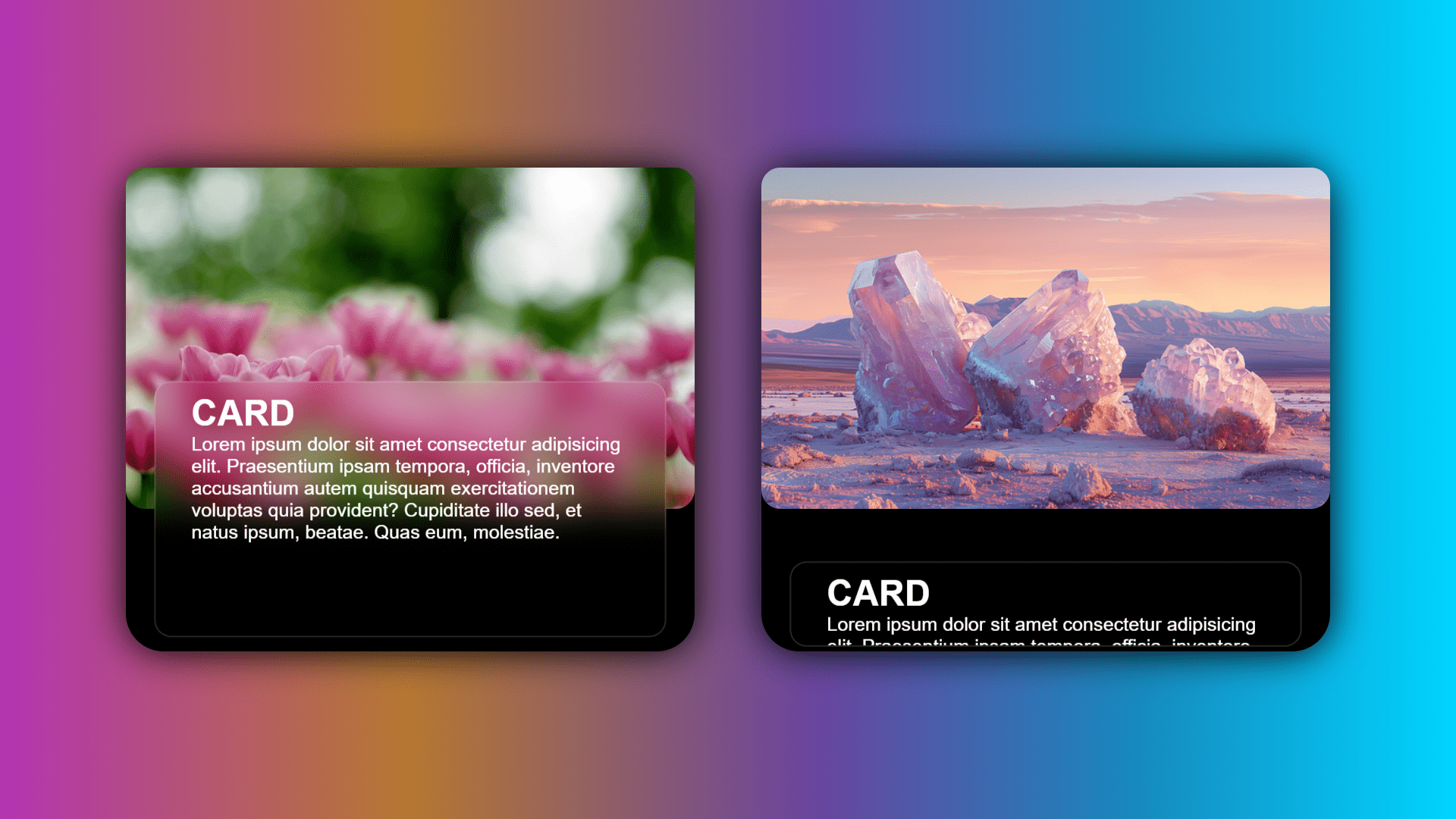 CSS Description Card With Hover Effect.