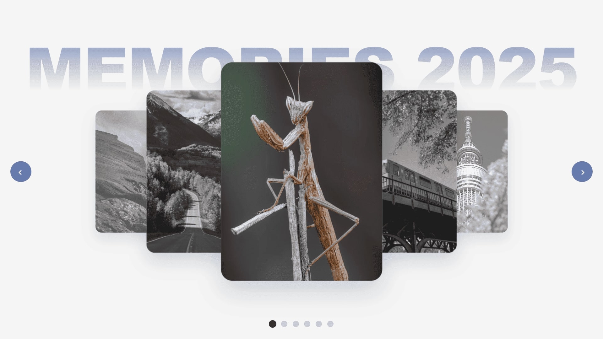 Responsive Card Carousel Gallery